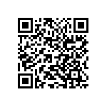 2220Y0250271KCR QRCode