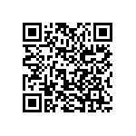 2225J0250333FCT QRCode