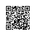 2225J2500103FFT QRCode