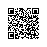 2225Y0250104KCR QRCode