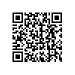 2225Y0250275KXT QRCode