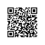 2225Y0250333KXT QRCode