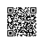 2225Y0250335KXR QRCode