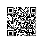 2225Y0250335KXT QRCode