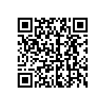2225Y0250335MXT QRCode