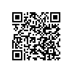 2225Y0250475KDR QRCode