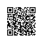 2225Y0250683MDT QRCode