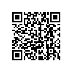 2225Y0250823KFT QRCode