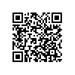 2225Y2500181GFR QRCode