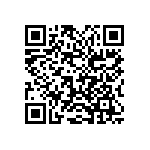 2225Y2500333JXT QRCode