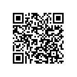 2225Y2500393MXR QRCode