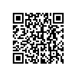 2225Y5000273KDR QRCode