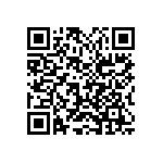 2225Y5K00391KXT QRCode