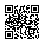 22R333C QRCode