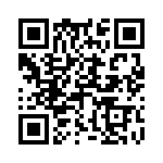 243-32-1-06 QRCode