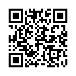 2455R-99130401 QRCode