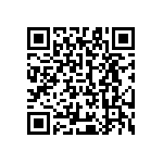 245602640600829H QRCode