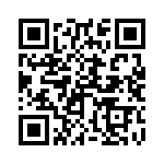 250R05L100KV4T QRCode