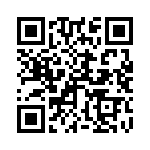 250R05L1R2BV4T QRCode
