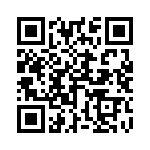 251R14S4R3DV4T QRCode