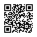 2903306 QRCode