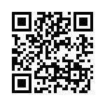 2903704 QRCode