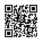 2904265 QRCode