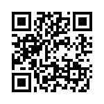 2904268 QRCode