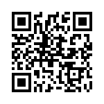 2904956 QRCode