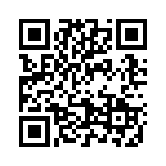 2905133 QRCode
