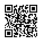 2905187 QRCode