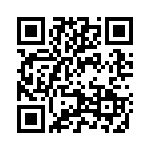 2905273 QRCode