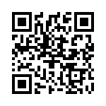 2905297 QRCode