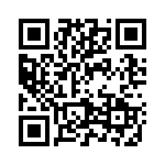 2905318 QRCode