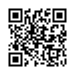 2905804 QRCode