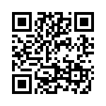 2906238 QRCode