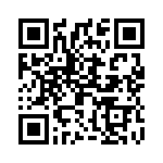 2906320 QRCode