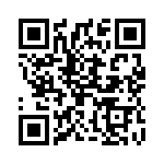 2907484 QRCode