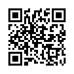 2907504 QRCode