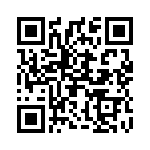 2907585 QRCode