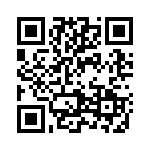 2907616 QRCode