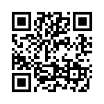 2907638 QRCode