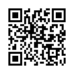 2909413 QRCode