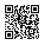 2909530 QRCode