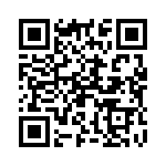 29153C QRCode