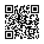 2981062 QRCode