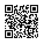 29Z2036-2 QRCode