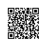 2T13K33MDBVREPG4 QRCode