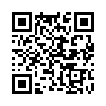 3-1734857-4 QRCode