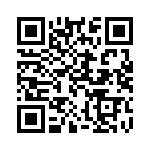 300100140285 QRCode